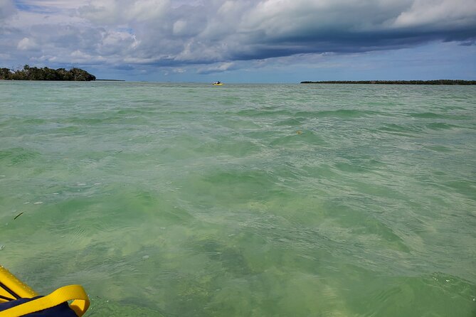 Full-Day Hiking and Kayaking Tour in Everglades National Park - Good To Know