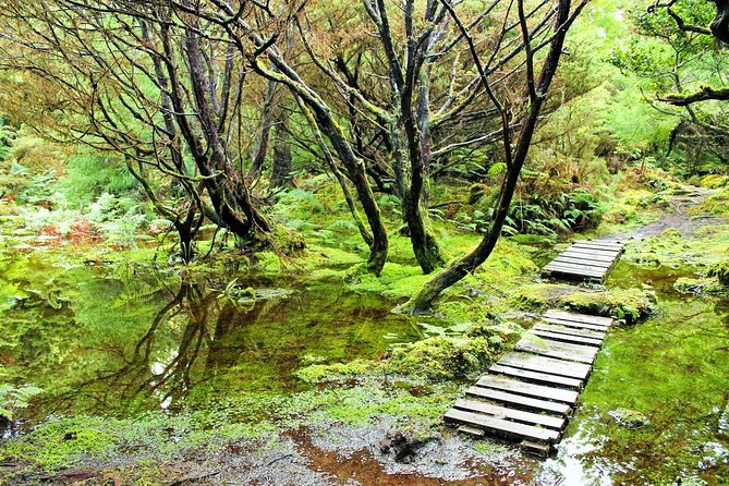Full-Day Hiking Tour in Terceira Island - Mistérios Negros - Cancellation Policy