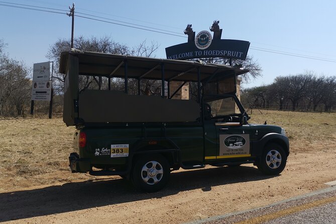 Full Day in Central Kruger National Park With Open Safari Vehicle