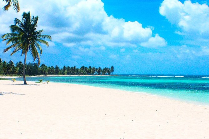 Full Day Isla Saona Tour and Snorkel in Punta Cana
