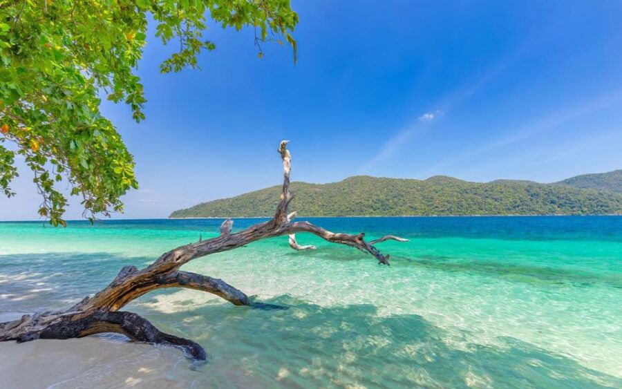 Full-Day Koh Lipe 5 Points Snorkeling Experience With Lunch