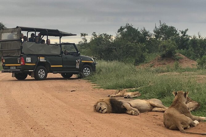 Full Day Kruger National Park Game Drive - Good To Know