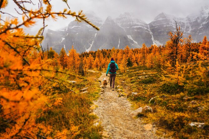 Full-Day Larch Hike, Banff Departure