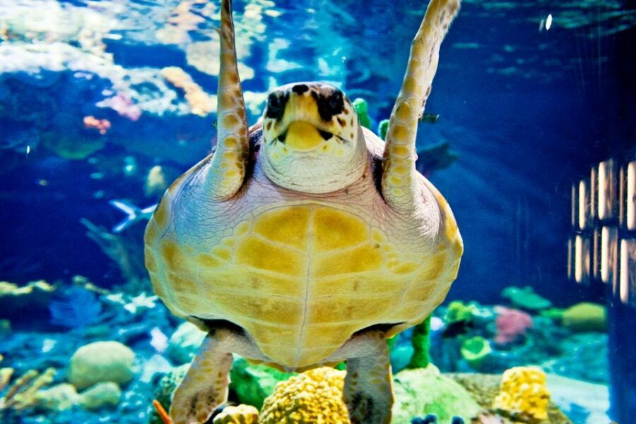 Full Day Lisbon Natural Tour - Good To Know