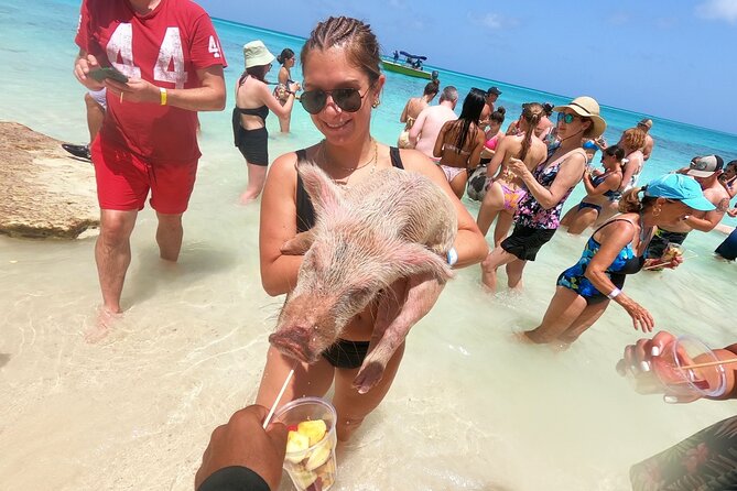Full-Day Luxury Private Rose Island Pigs and Turtles Excursion - Good To Know