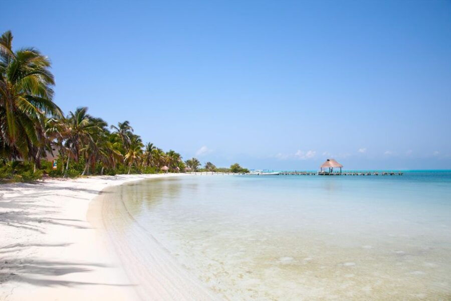 Full Day Nature Expedition to Contoy Island and Isla Mujeres - Good To Know