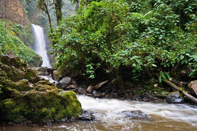 Full Day Poas Volcano, La Paz Waterfall Gardens and Coffee Plantation Experience - Good To Know