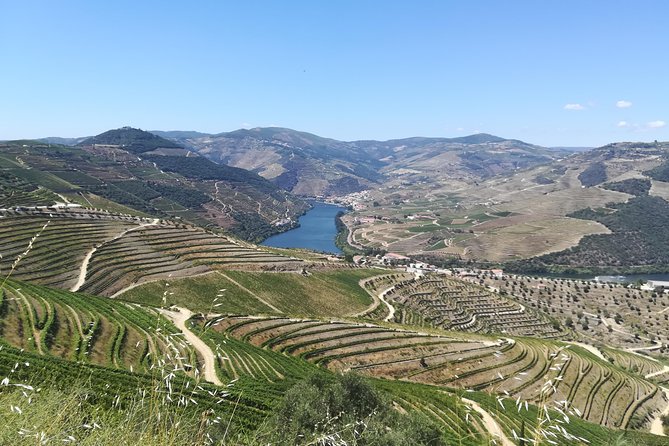 Full-Day Porto and Douro Valley Private Wine Tour With Lunch - Traditional Lunch
