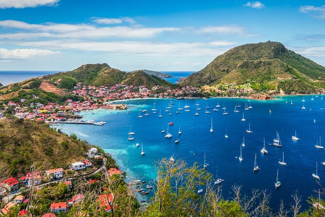 Best Tours In Pointe a Pitre