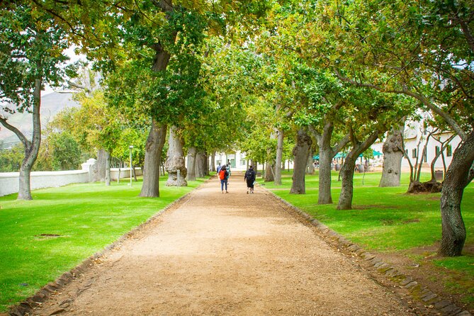 Full Day Private Constantia Wine Tour - Good To Know