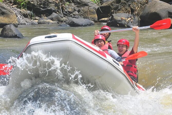 Full-Day Private Crushing Stonys Water Rafting in Jakarta
