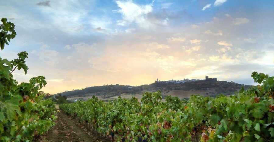 Full-Day Private Cultural Tour in Evora and Monsaraz - Good To Know