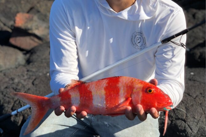 Full Day Private Fishing Activity - Good To Know