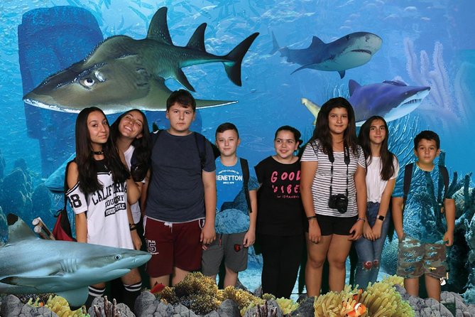 Full-Day Private Fun Cultural Guided Tour of London for Kids - Good To Know