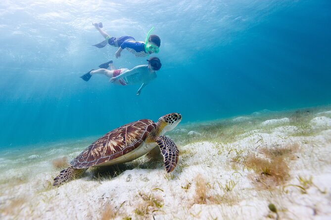 Full Day Private Power Catamaran- USVI Beach and Snorkel