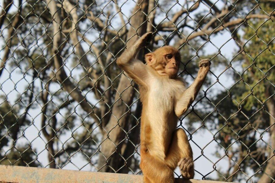 Full Day Private Sightseeing of Heritage Sites in Kathmandu - Good To Know