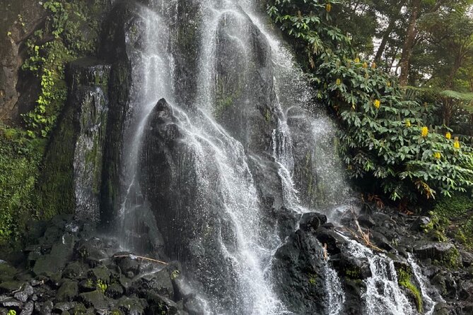 Full Day Private Tour Azorean Experience With Lunch
