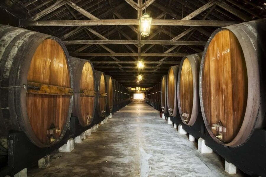 Full-Day Private Tour in Arrábida With Wine Tour From Lisbon