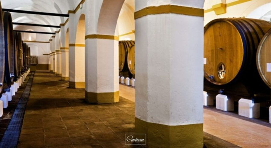 Full-Day Private Tour in Évora With Winery Tour From Lisbon