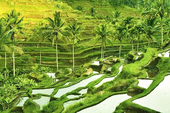 Full Day Private Tour in Ubud Indonesia - Good To Know