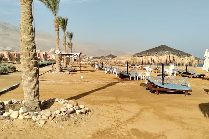 Full Day Private Tour to Ain Sokhna Red Sea From Cairo and Giza