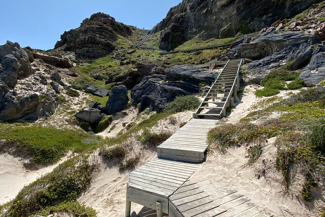 Full Day Private Tour to Boulders Beach From Cape Town - Good To Know