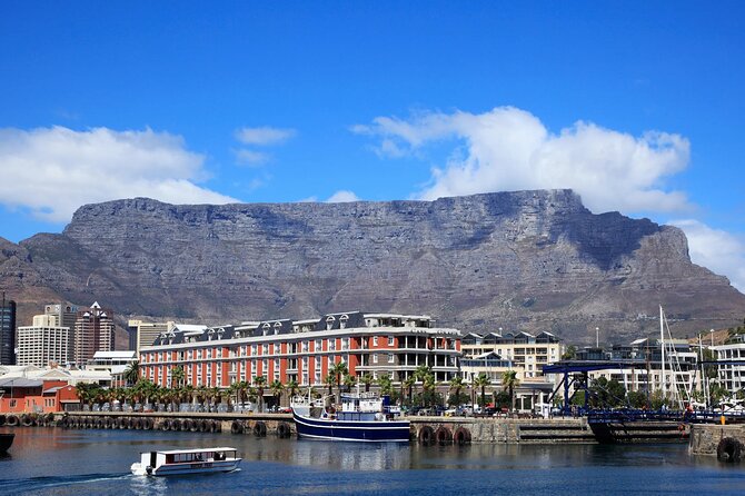 Full Day Private Tour to Cape of Good Hope & Penguins Cape Point - Good To Know