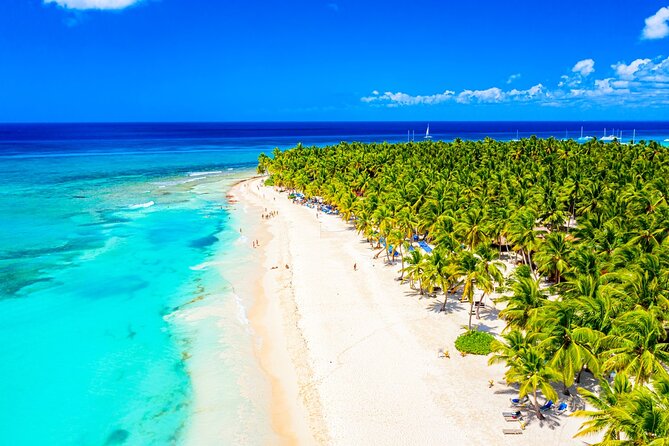 Full Day Private Tour to Saona Island