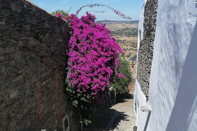 FULL DAY Private Tour to Sintra, Queluz, Cabo Da Roca, and Cascais - Good To Know