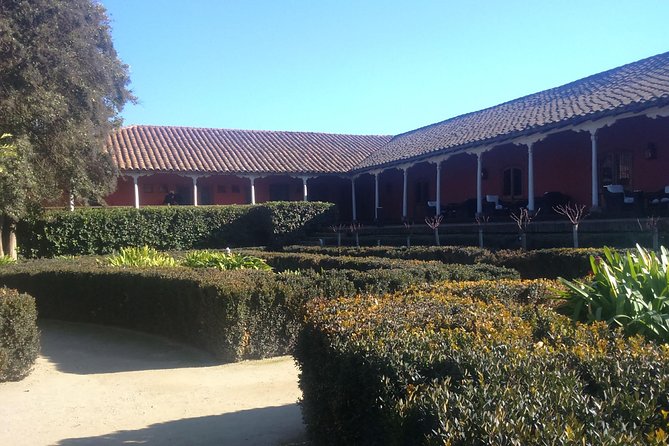 Full Day Private Wine Tour Casablanca Valley From Santiago