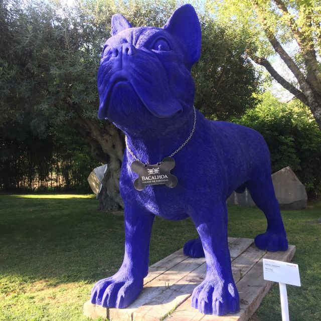 Full Day Private Wine Tour in Arrabida - Good To Know