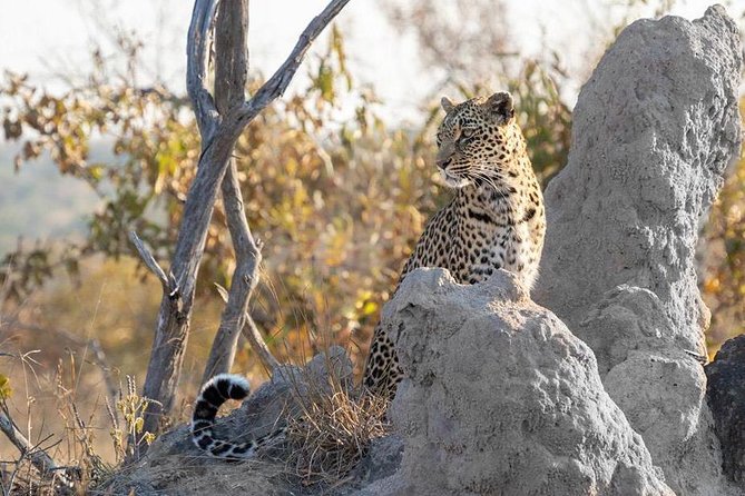 Full Day Safaris, Tours and Destination Management By Robbie Williams Safaris - Good To Know