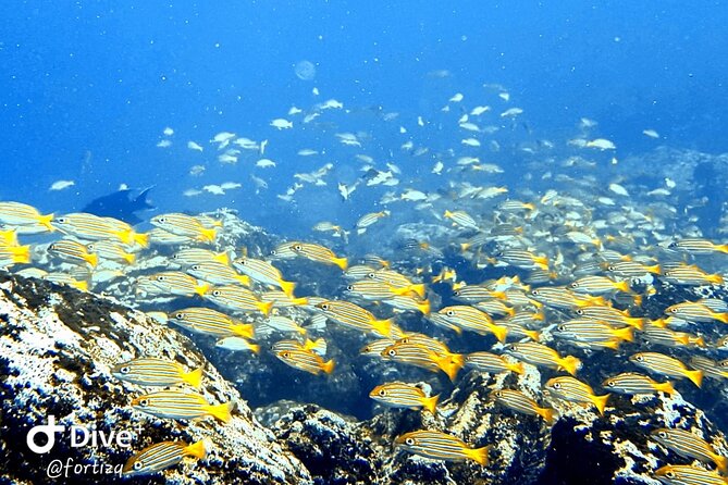 Full Day Santa Fe Island and Playa Escondida Snorkeling and Fishing