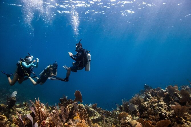 Full Day Scuba Diving Course: Pool and Boat Dive Experience - Good To Know