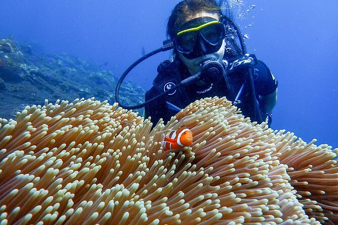 Full-Day Scuba Diving Experience of USAT Liberty in Tulamben - Good To Know