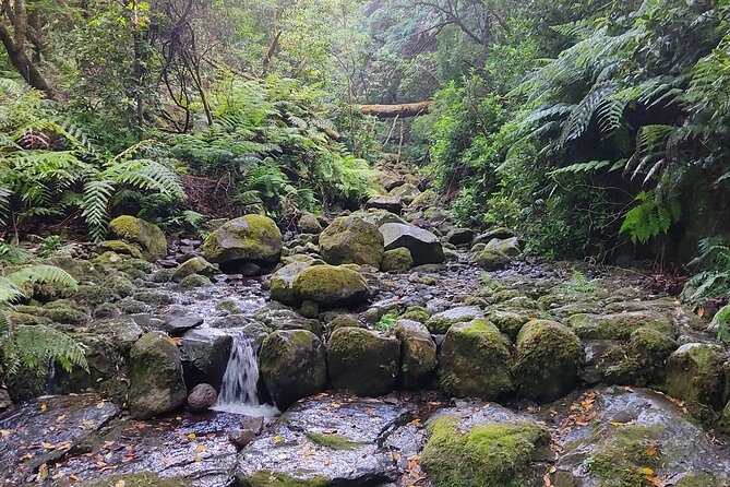 Full-Day Self Guided Hike in Caldeirão Verde Levada - Good To Know