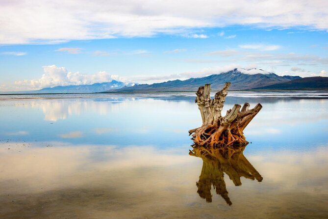 Full-Day Small Group Tour : Salt Lake City & Park City 14 Sites