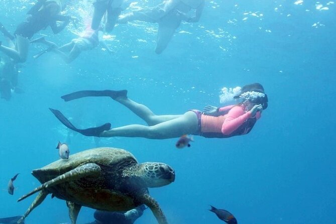 Full-Day Snorkeling Tour to Utopia Island From Luxor