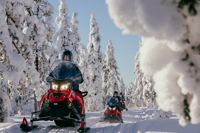 Full-Day Snowmobile Adventure - Good To Know