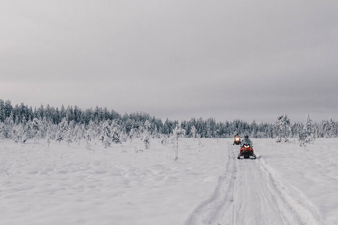 Full Day Snowmobile Safari in Rovaniemi - Good To Know