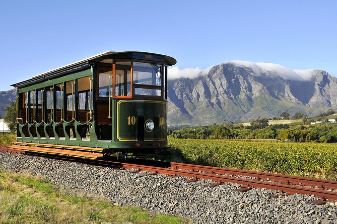 Full-Day Stellenbosch, Franschhoek and Paarl Wine Tasting Tour From Cape Town