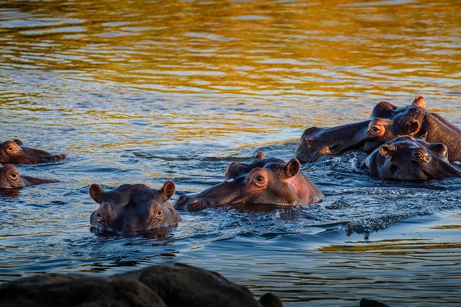 Full Day Sun City and Pilanesberg Game Reserve Tour