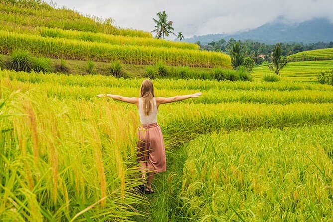 Full Day Tanah Lot Tour - Good To Know