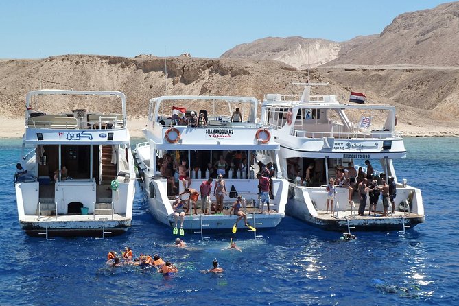 Full Day Tiran Island Snorkeling Sea Trip & Lunch With Transfer - Sharm Elsheikh - Good To Know