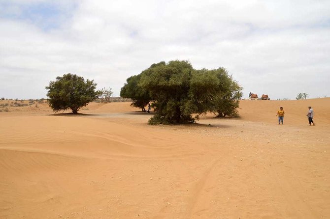 Full Day to Small Desert From Agadir - Good To Know