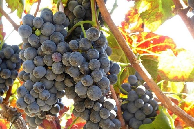 Full Day Tour From Porto To Douro Valley - Good To Know