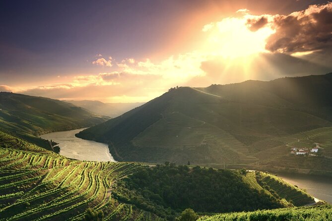Full Day Tour in Douro Valley With Wine Tasting - Good To Know