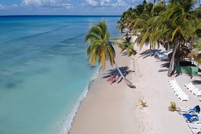 Full Day Tour of Saona Island From Uvero Alto