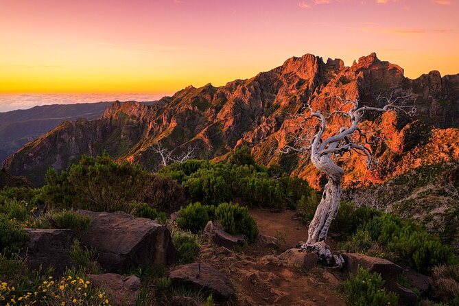 Full Day Tour on Madeira Island