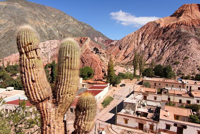 Full-Day Tour Salinas Grandes and Purmamarca From Salta